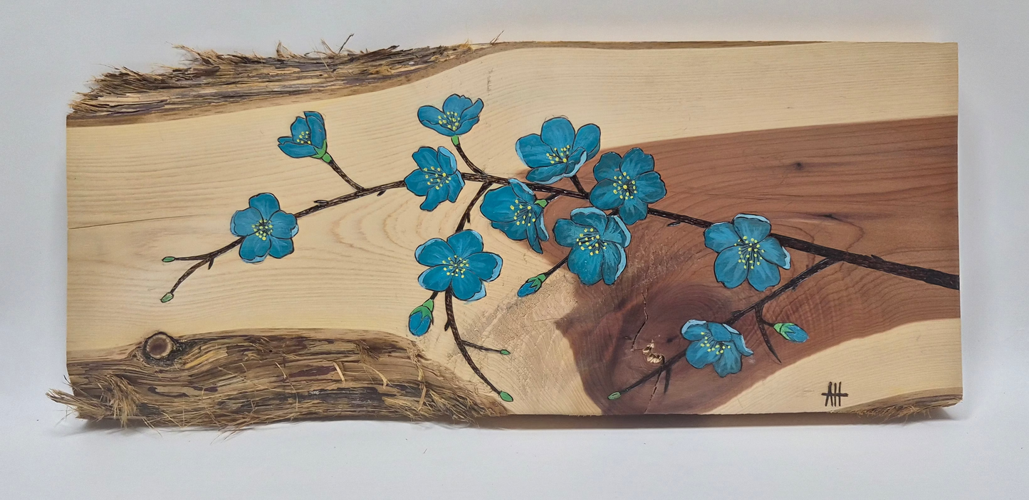 SPRING  ON  TIMBER